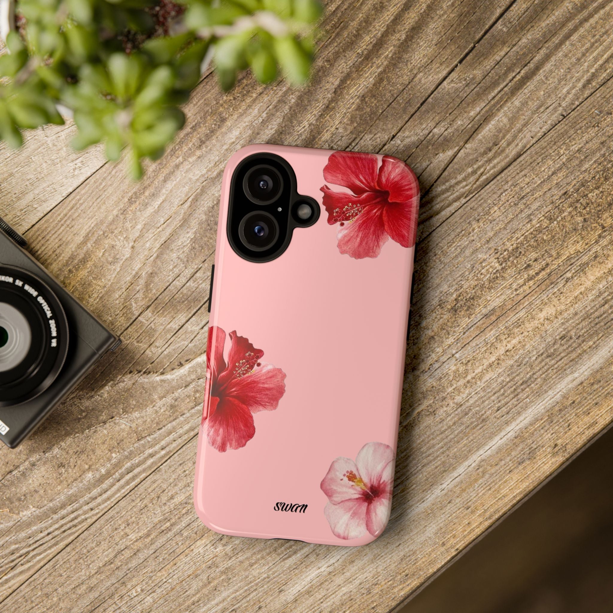 Blühender Hibiskus (Rosa)