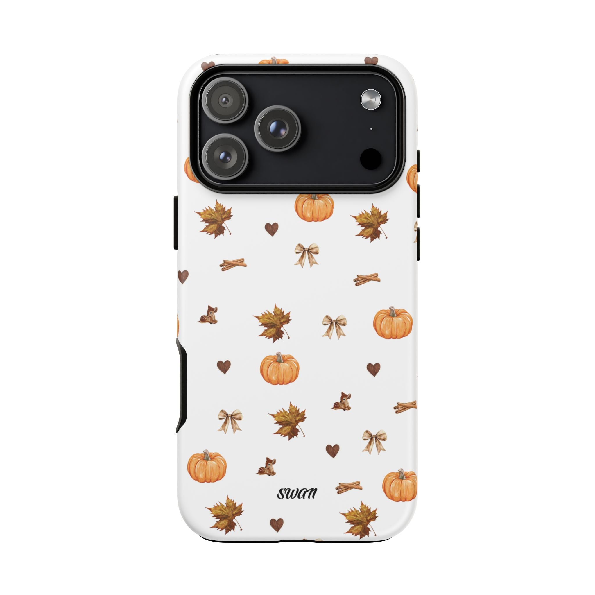 Kürbis &amp; Herbst