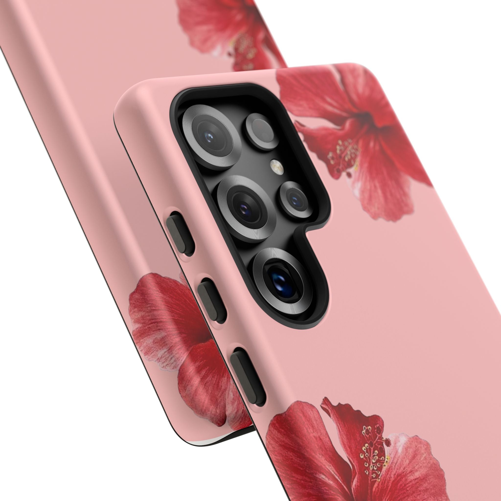 Blühender Hibiskus (Rosa)