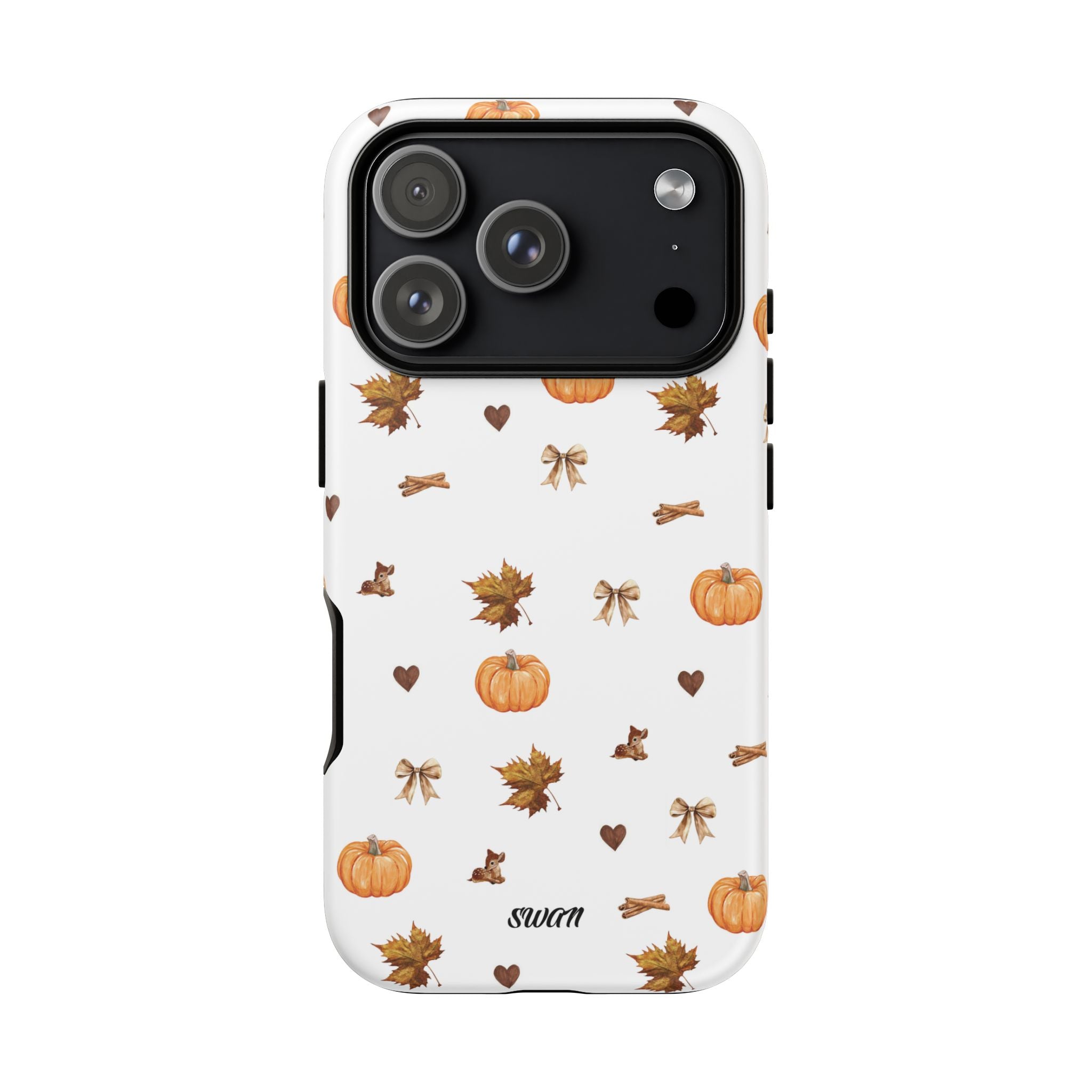 Kürbis &amp; Herbst