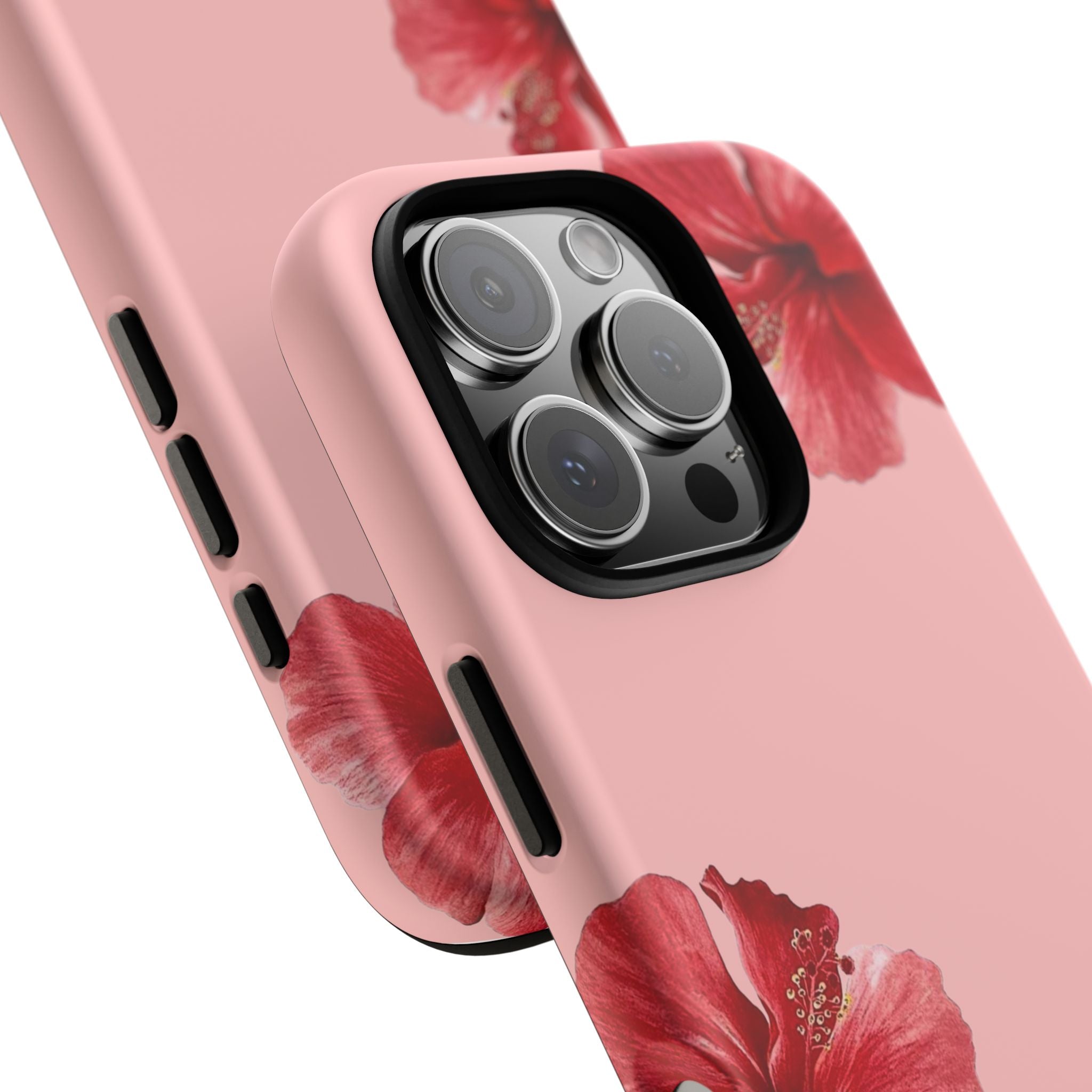 Blühender Hibiskus (Rosa)