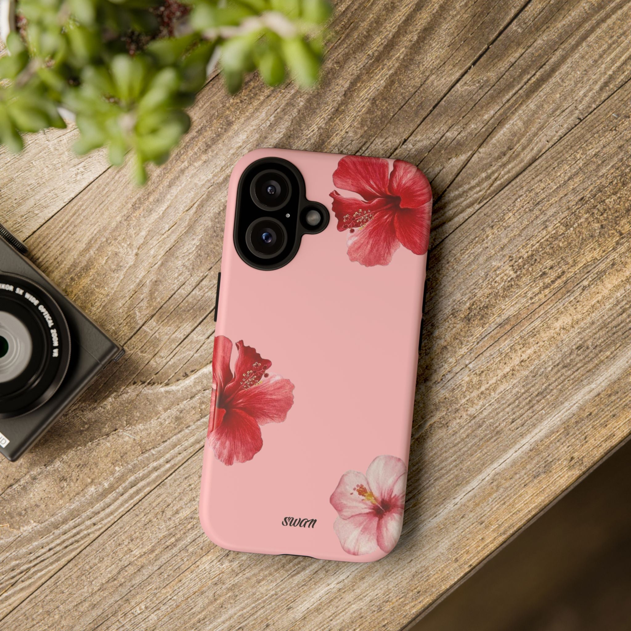 Blühender Hibiskus (Rosa)