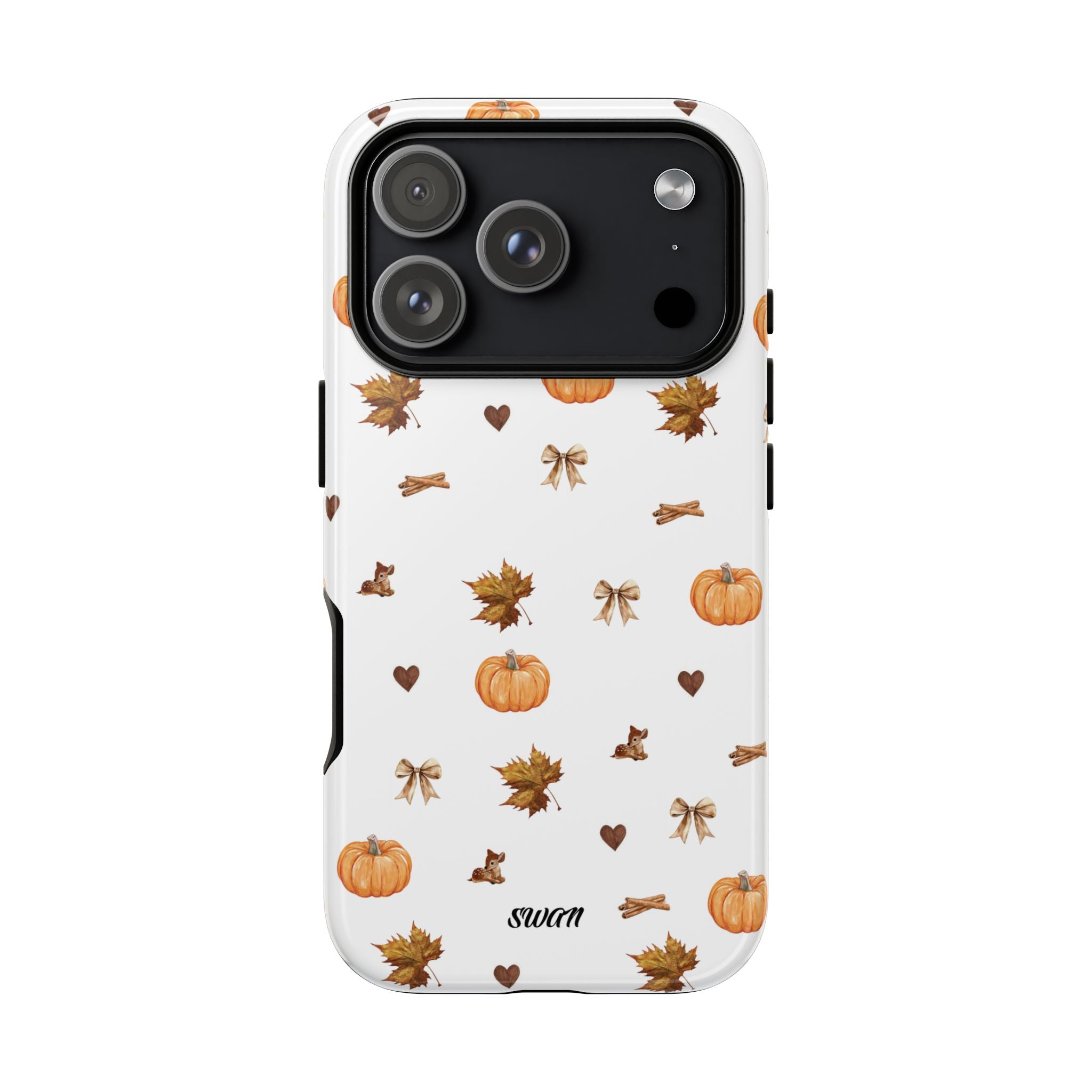 Kürbis &amp; Herbst