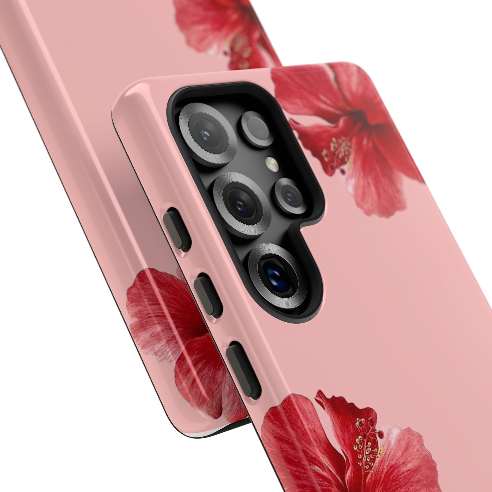 Blühender Hibiskus (Rosa)